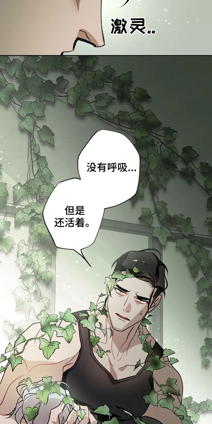 《异常现象者》第61章灾害化 第19页