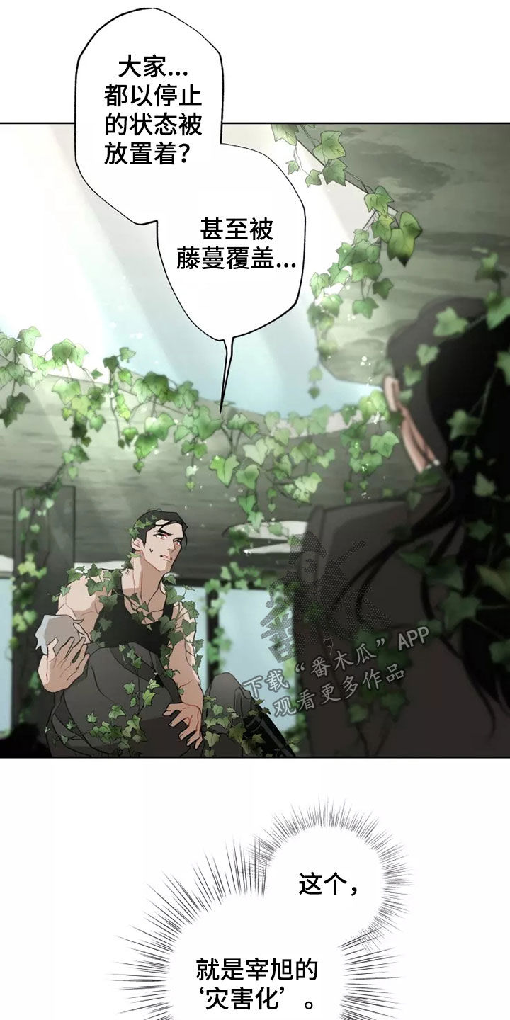 《异常现象者》第61章灾害化 第21页