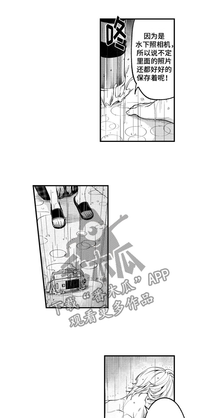 《蜜岛回归》第7章找回相机 第9页