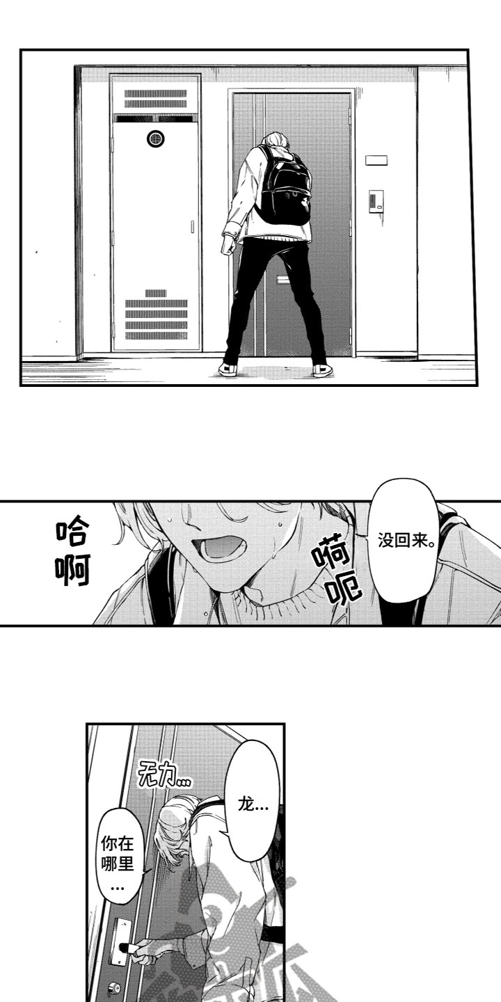 《蜜岛回归》第20章寻找 第3页
