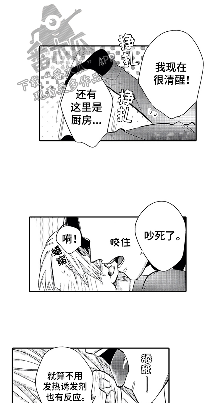 《经纪人津贴》第12章邀请 第1页