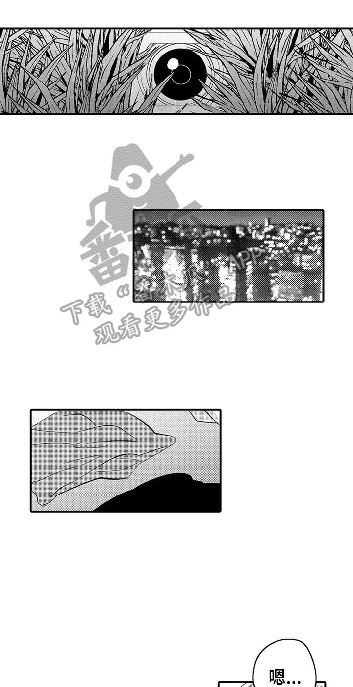 《经纪人津贴》第25章偷拍 第15页