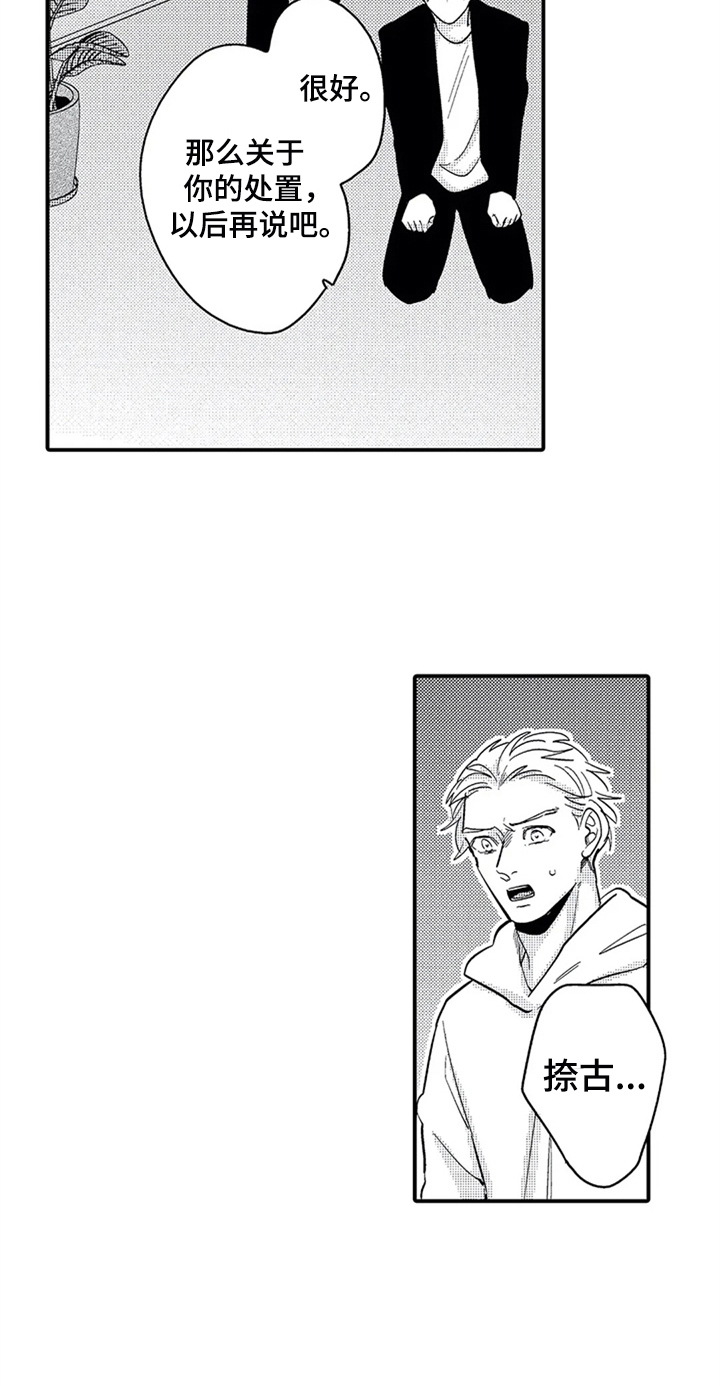 《经纪人津贴》第26章安排 第14页
