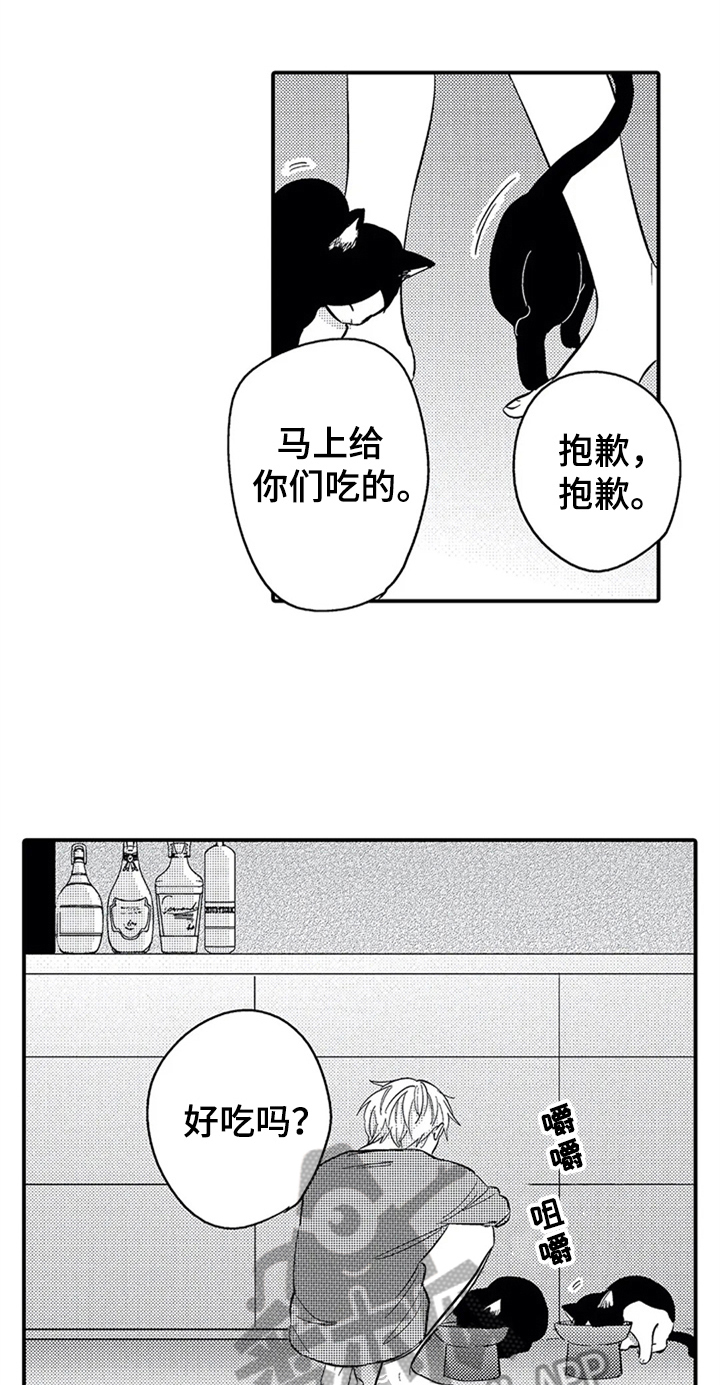 《经纪人津贴》第26章安排 第1页