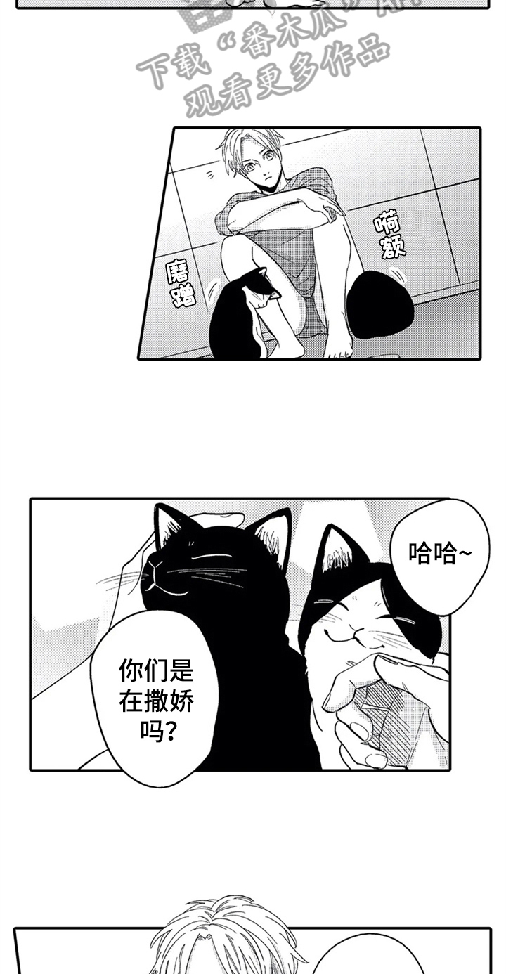 《经纪人津贴》第26章安排 第2页