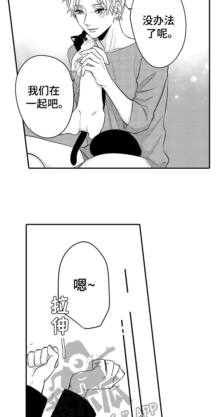 《经纪人津贴》第26章安排 第3页
