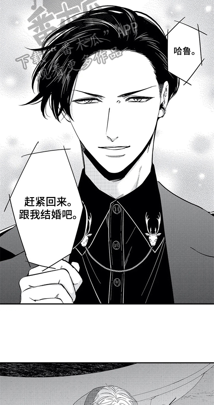 《经纪人津贴》第31章宣言 第12页