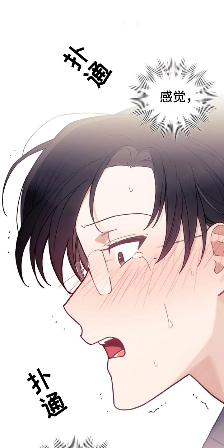 《奇妙的连接》第23章离职 第2页