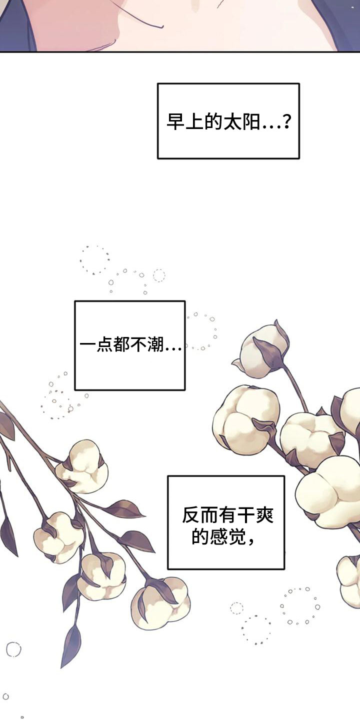 《奇妙的连接》第23章离职 第8页