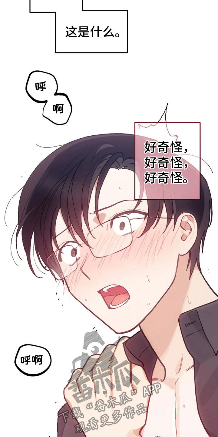 《奇妙的连接》第22章继续 第17页