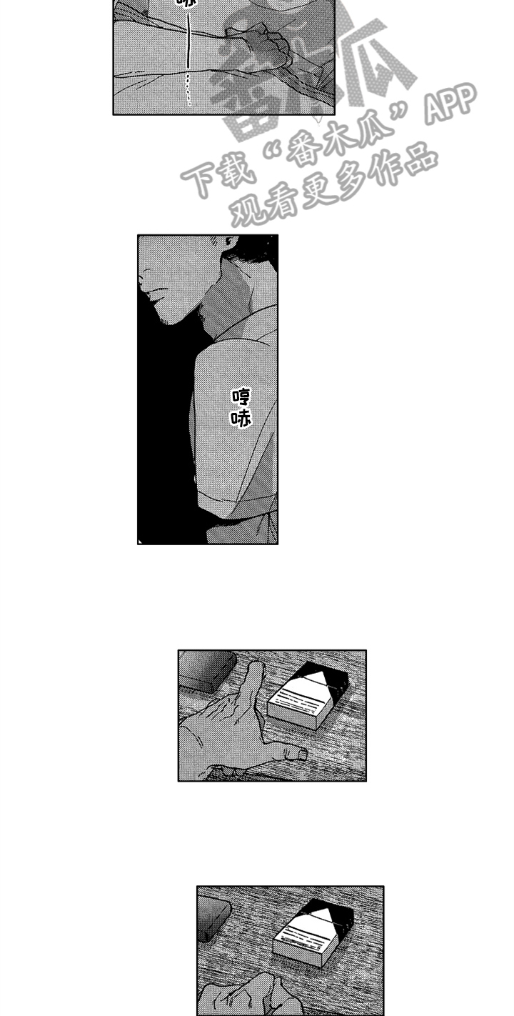 《莫名的痴恋》第13章束缚 第5页