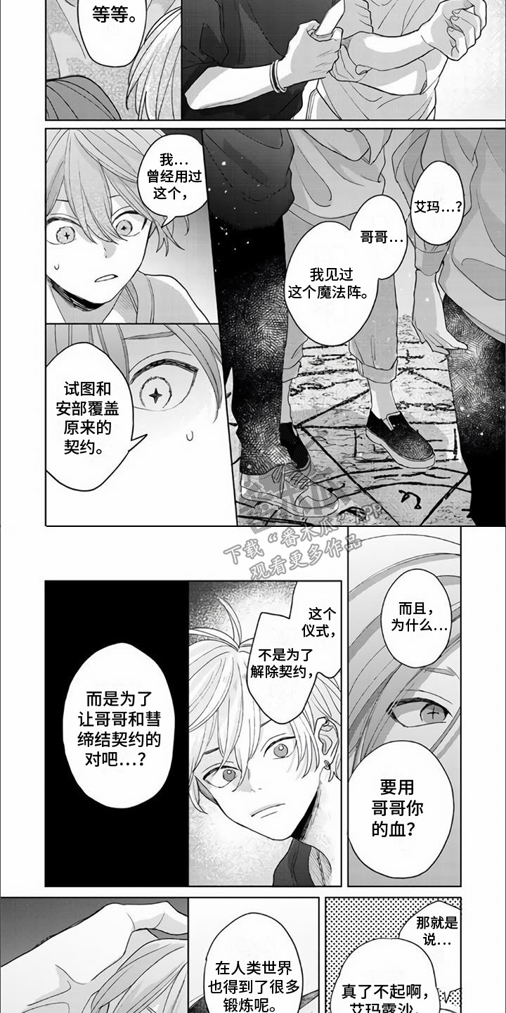 《艾玛的盛宴》第17章欺骗 第6页