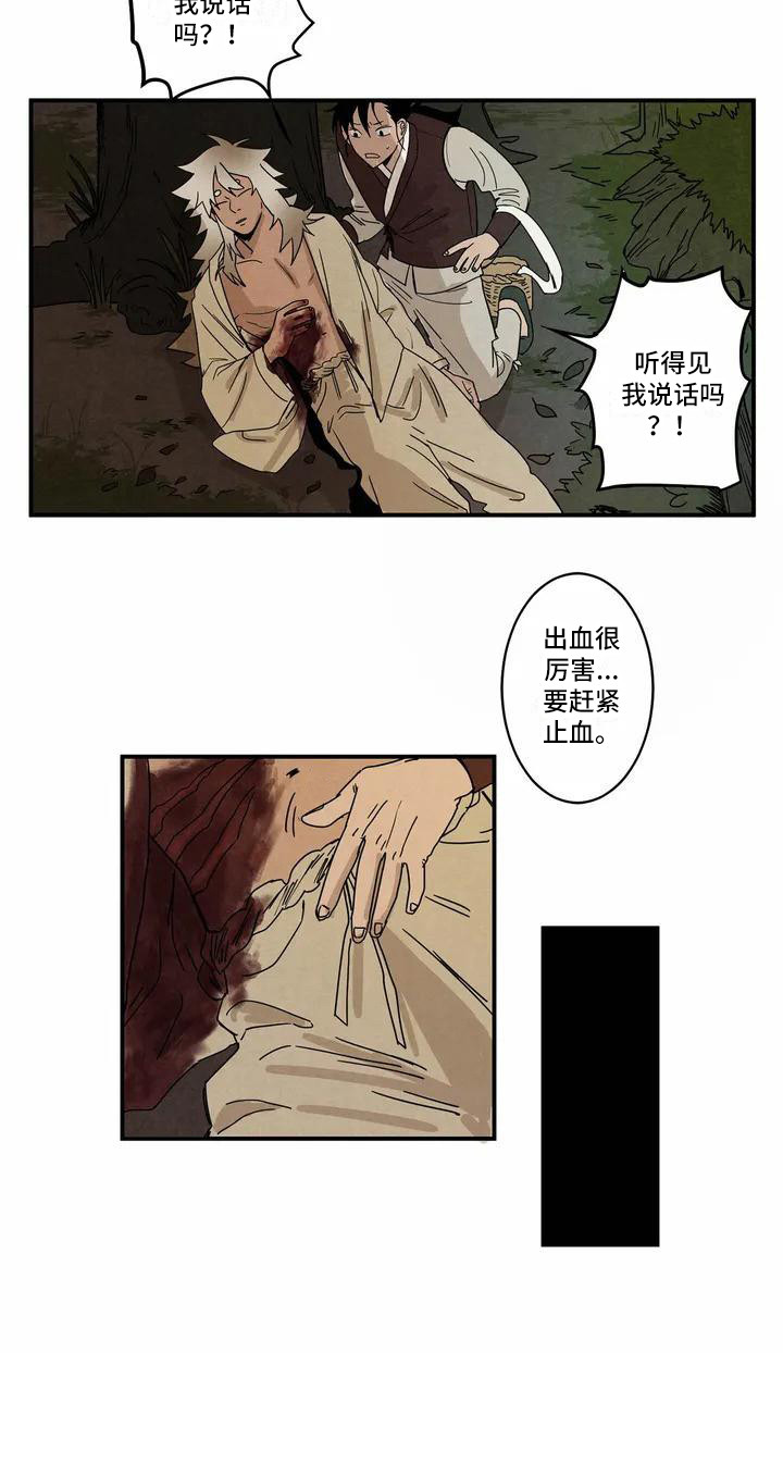 《白的报恩》第1章老虎 第12页