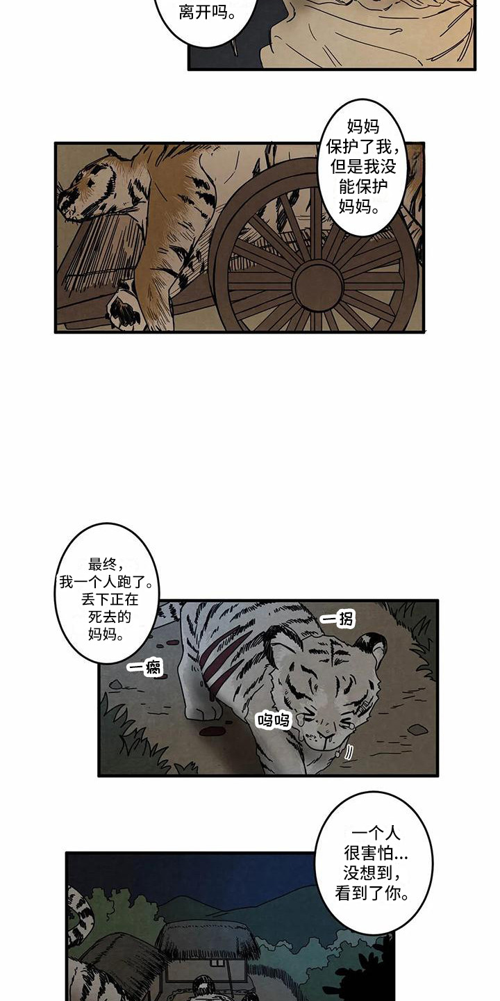 《白的报恩》第6章不安 第11页