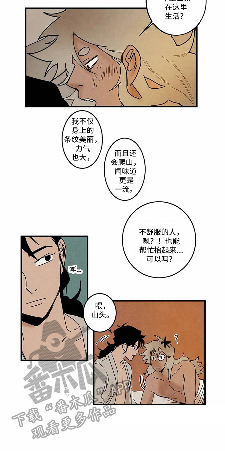 《白的报恩》第7章一起生活（完结） 第12页