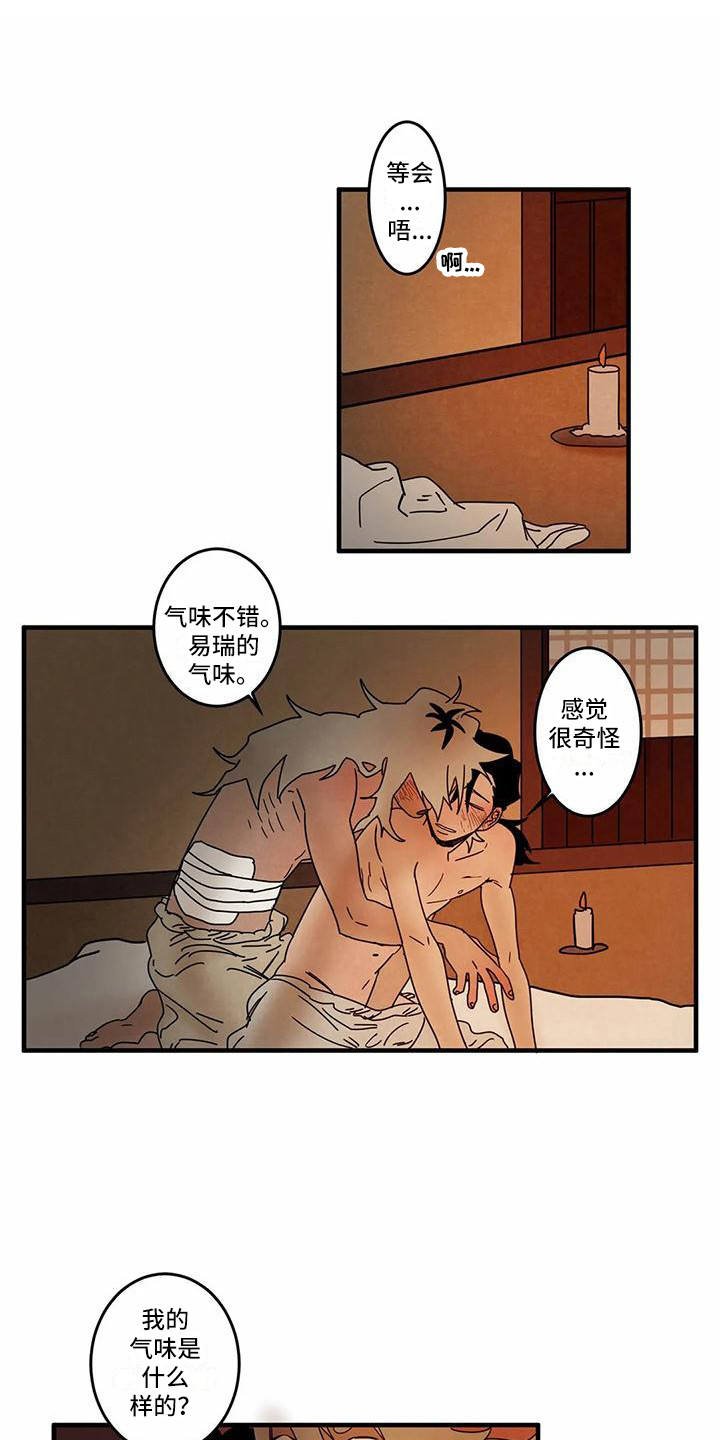 《白的报恩》第7章一起生活（完结） 第1页
