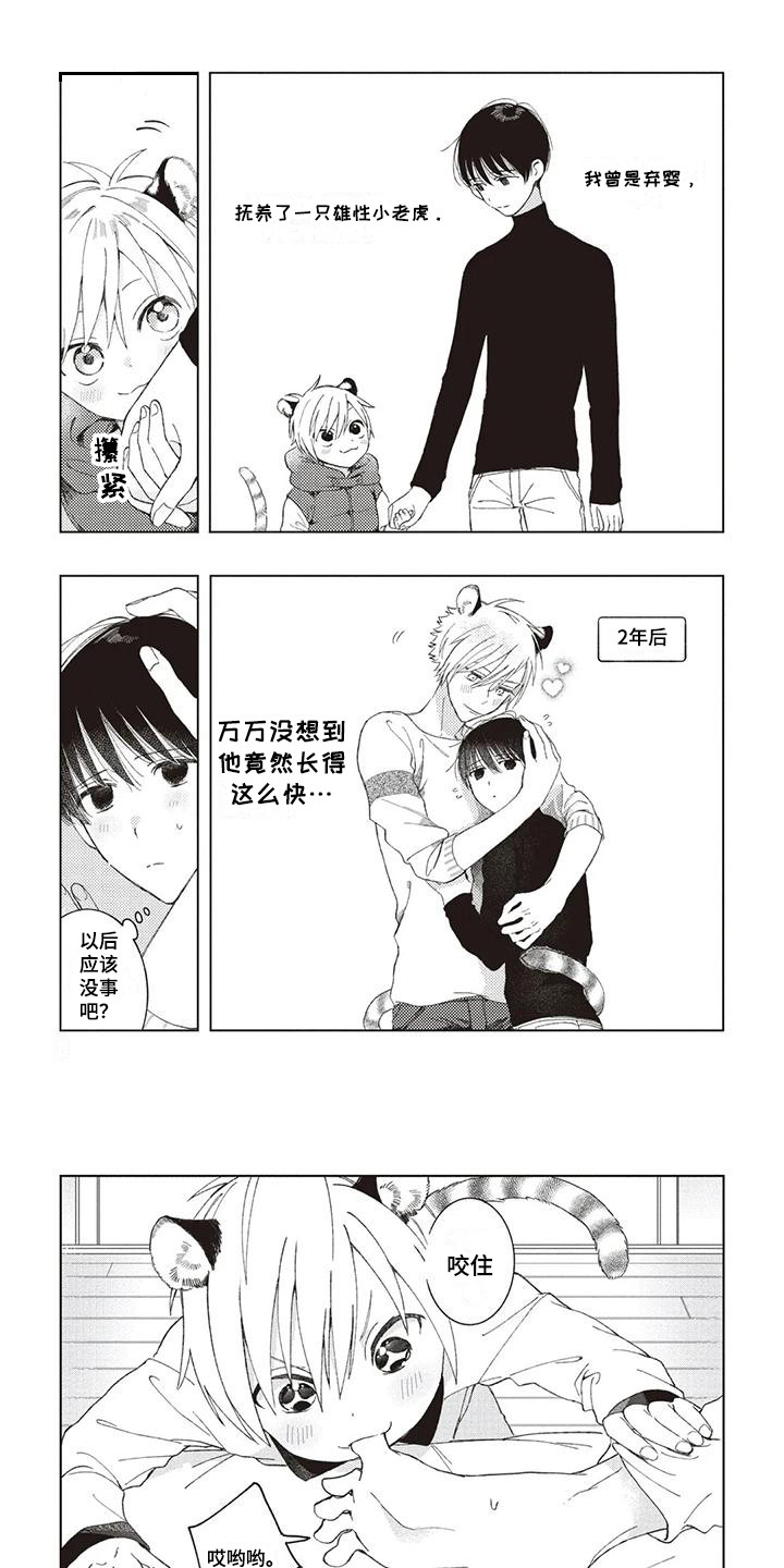 《小老虎养成记》第1章小老虎 第1页