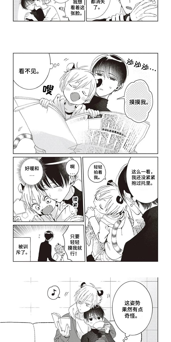《小老虎养成记》第1章小老虎 第3页