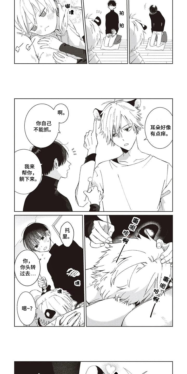 《小老虎养成记》第1章小老虎 第5页