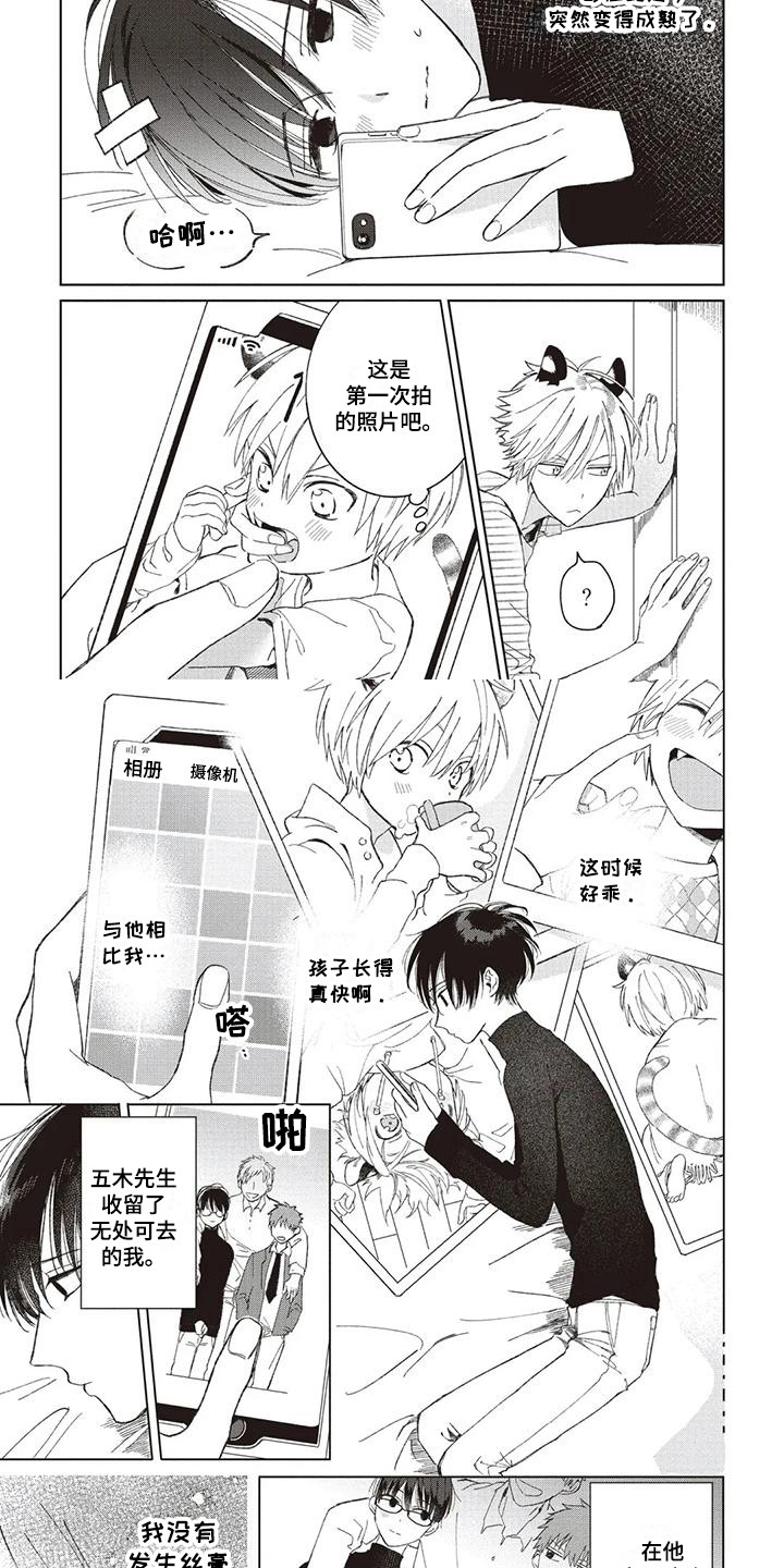 《小老虎养成记》第1章小老虎 第9页
