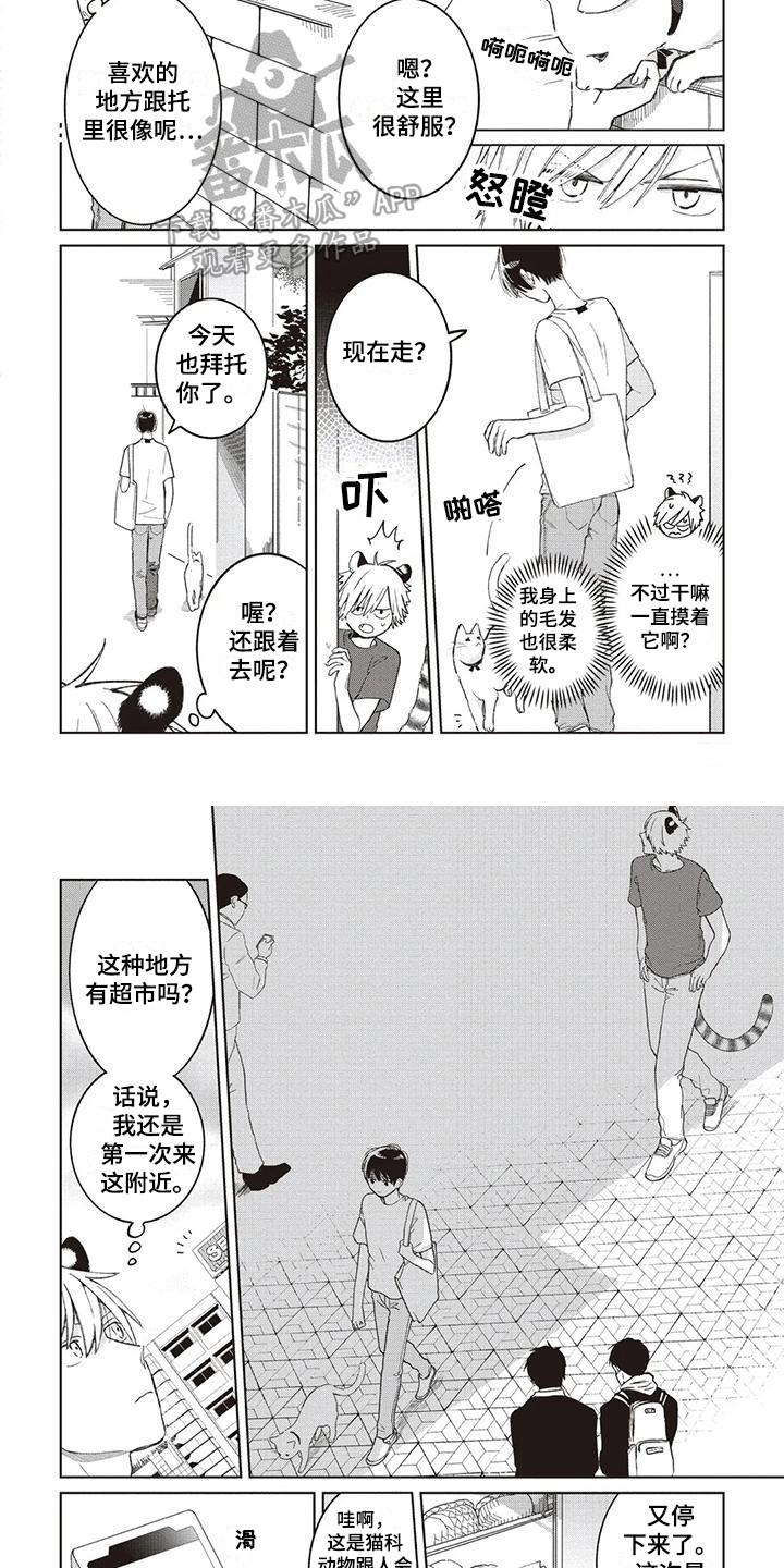 《小老虎养成记》第12章托里的将来 第4页
