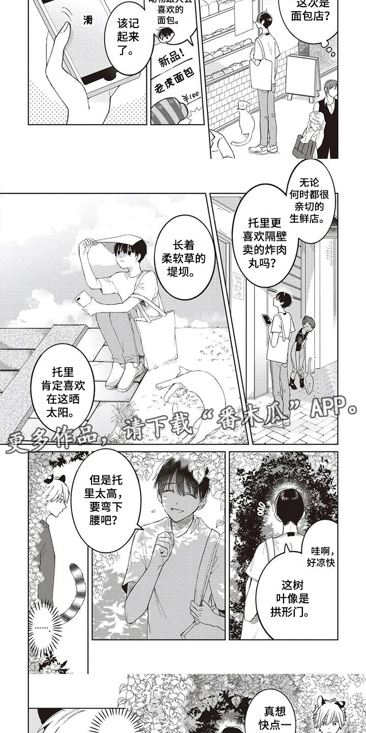 《小老虎养成记》第12章托里的将来 第5页