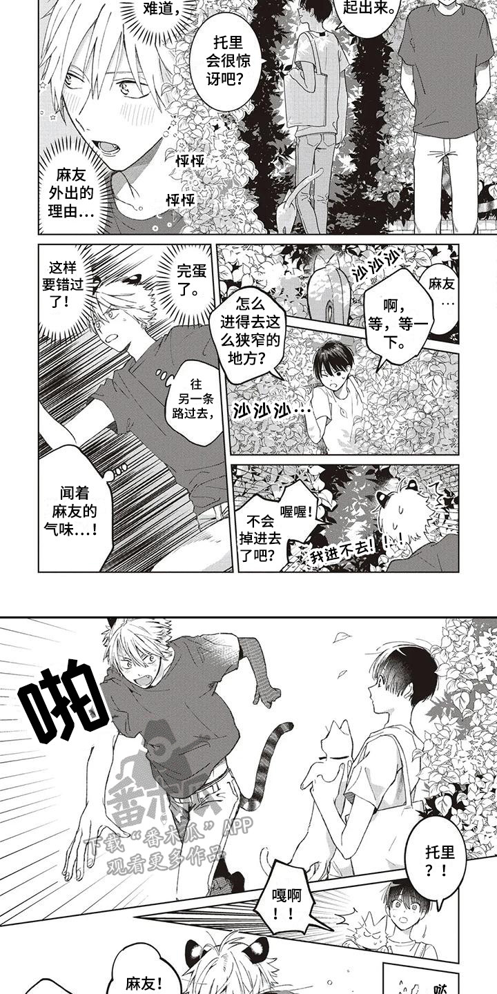 《小老虎养成记》第12章托里的将来 第6页