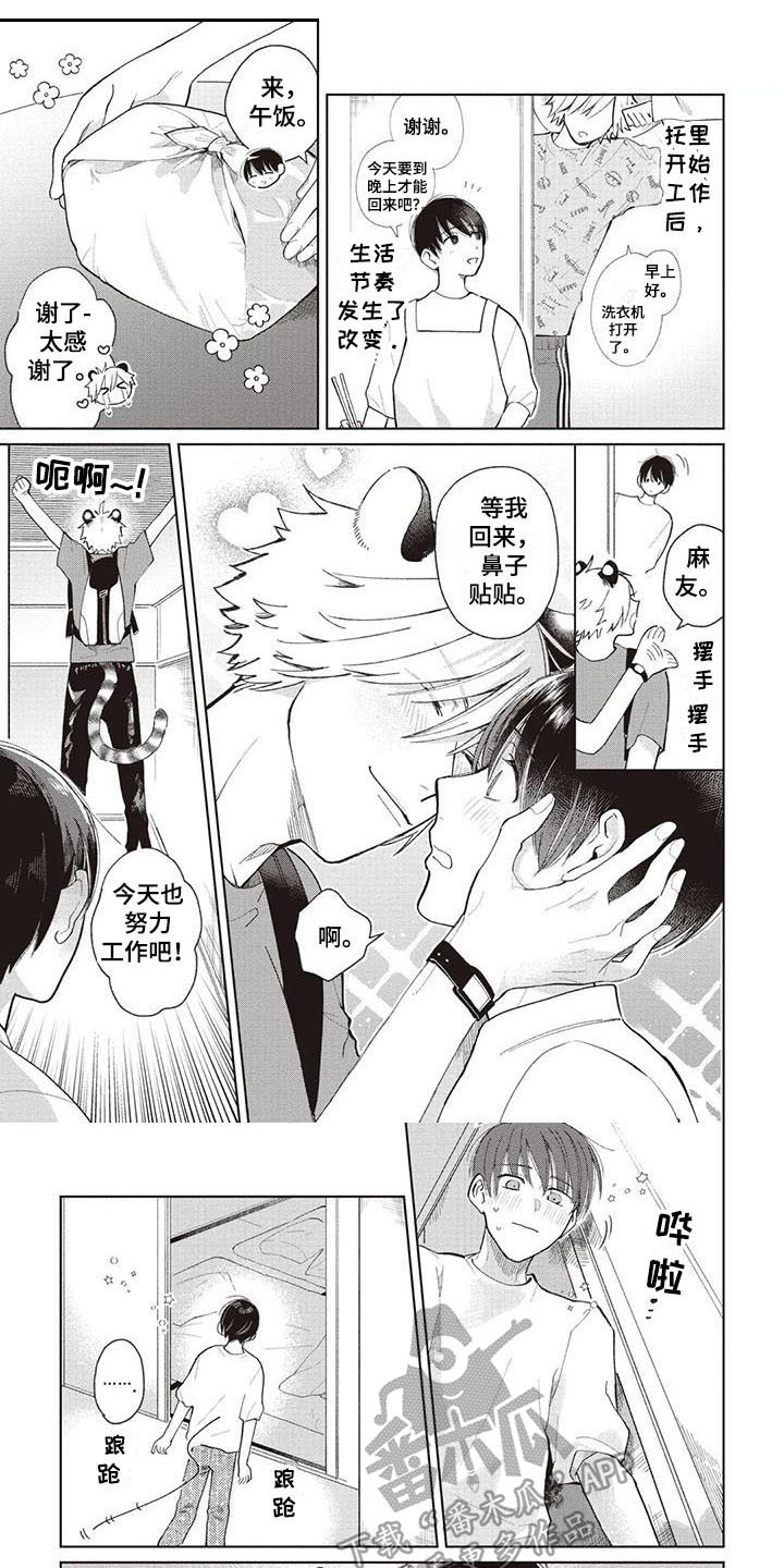 《小老虎养成记》第15章很忙碌 第1页