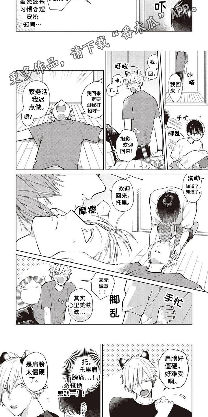 《小老虎养成记》第15章很忙碌 第3页