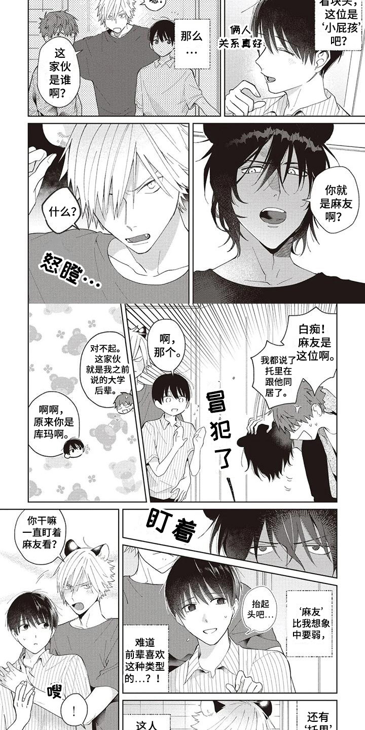 《小老虎养成记》第18章针锋相对 第2页