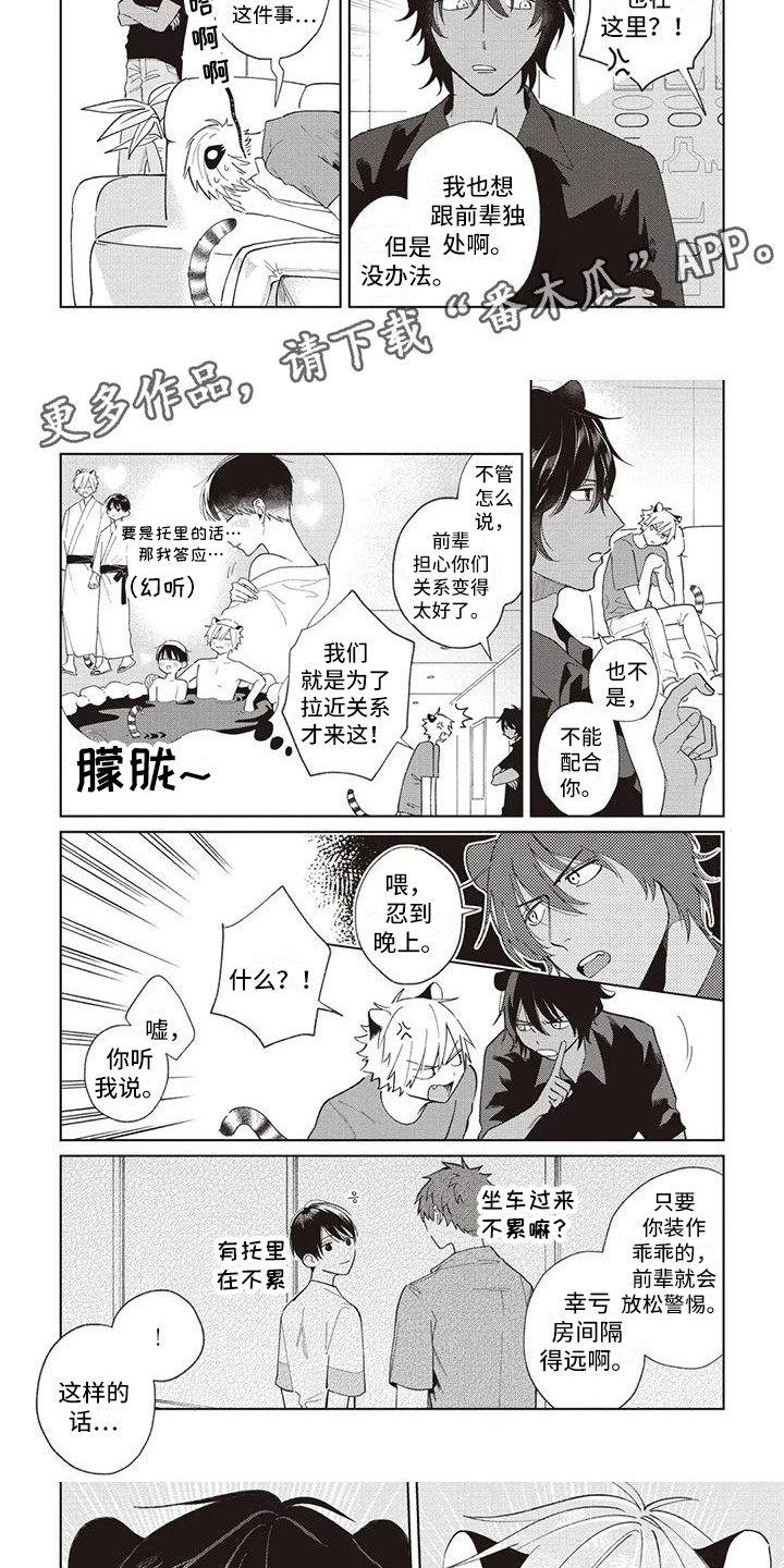 《小老虎养成记》第19章温泉旅行 第5页