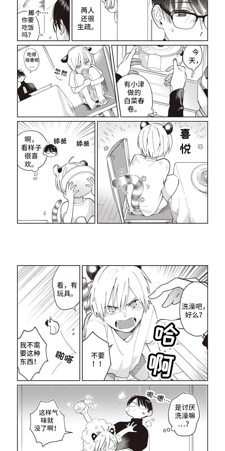 《小老虎养成记》第23章循序渐进 第6页