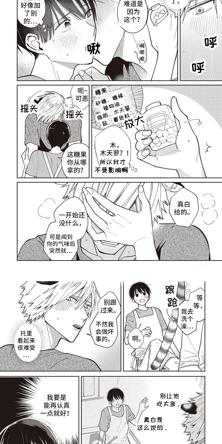 《小老虎养成记》第25章托里与天木蓼 第6页