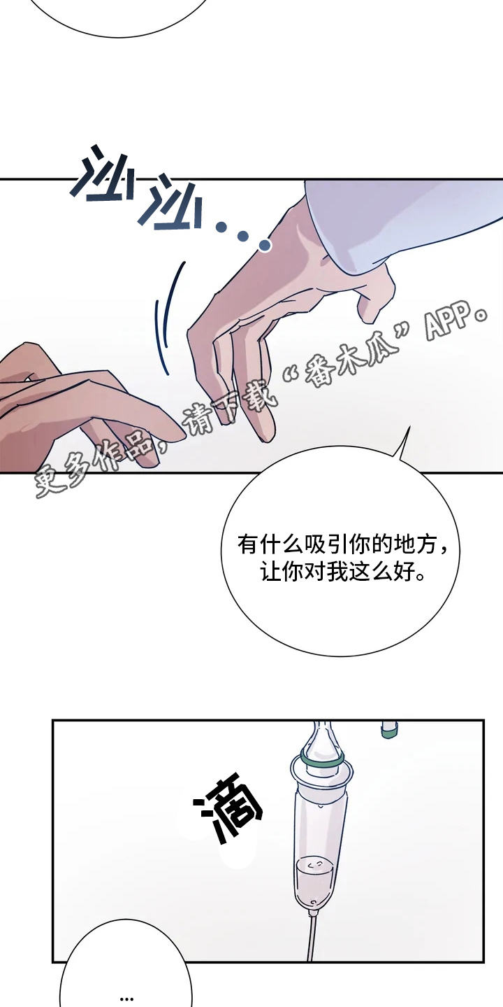 《温暖的手》第13章喜欢的理由 第13页