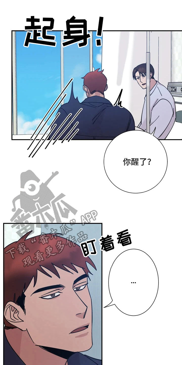 《温暖的手》第13章喜欢的理由 第4页