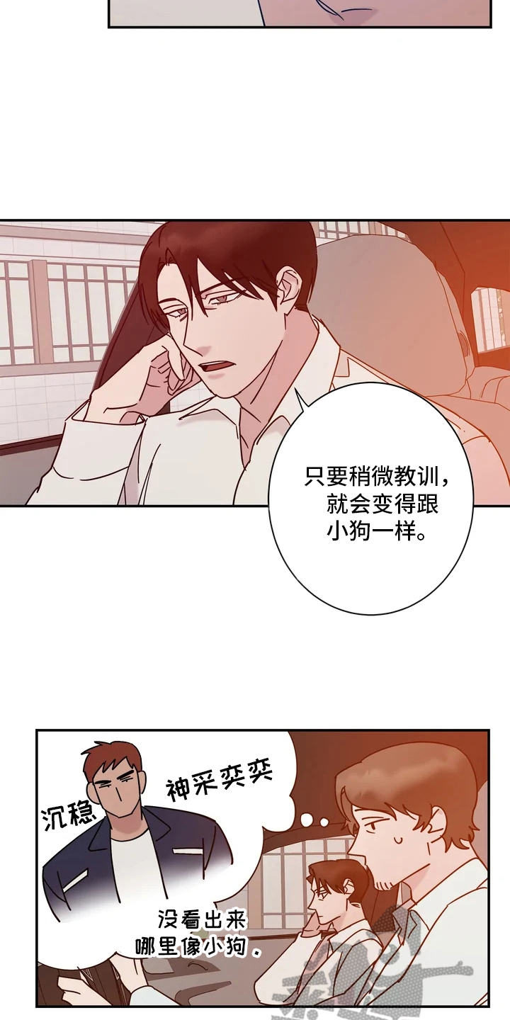 《温暖的手》第15章答应了 第12页