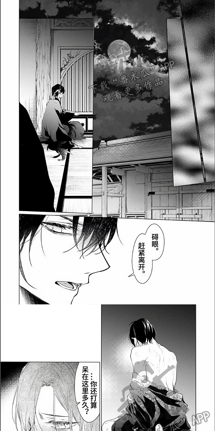 《神鹰的生活》第4章不放弃 第1页