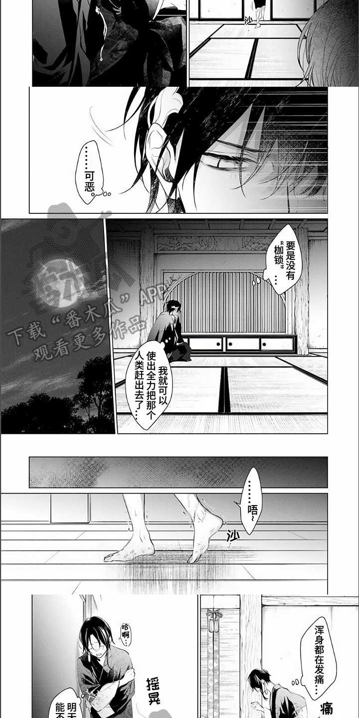 《神鹰的生活》第4章不放弃 第3页