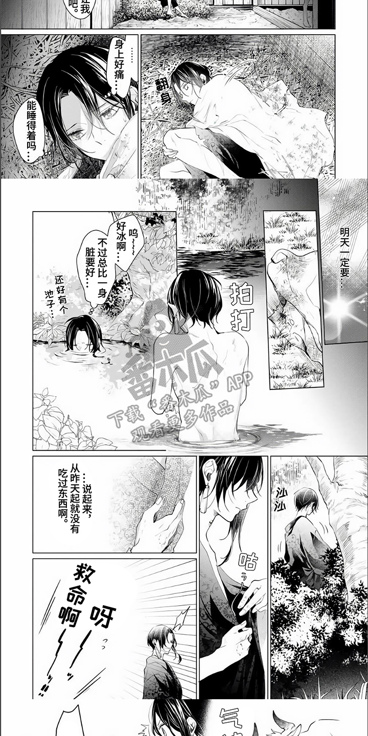 《神鹰的生活》第4章不放弃 第5页