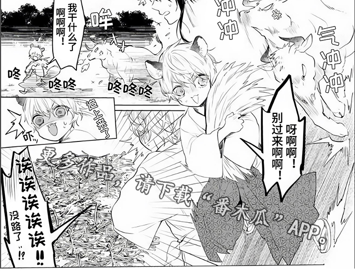 《神鹰的生活》第4章不放弃 第6页