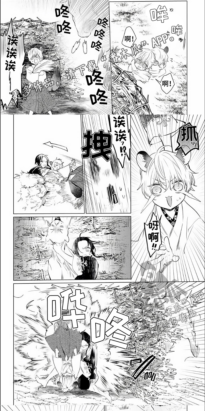 《神鹰的生活》第5章倾诉 第1页