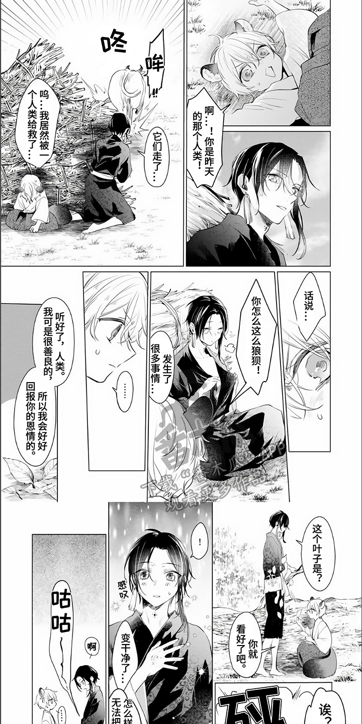 《神鹰的生活》第5章倾诉 第2页