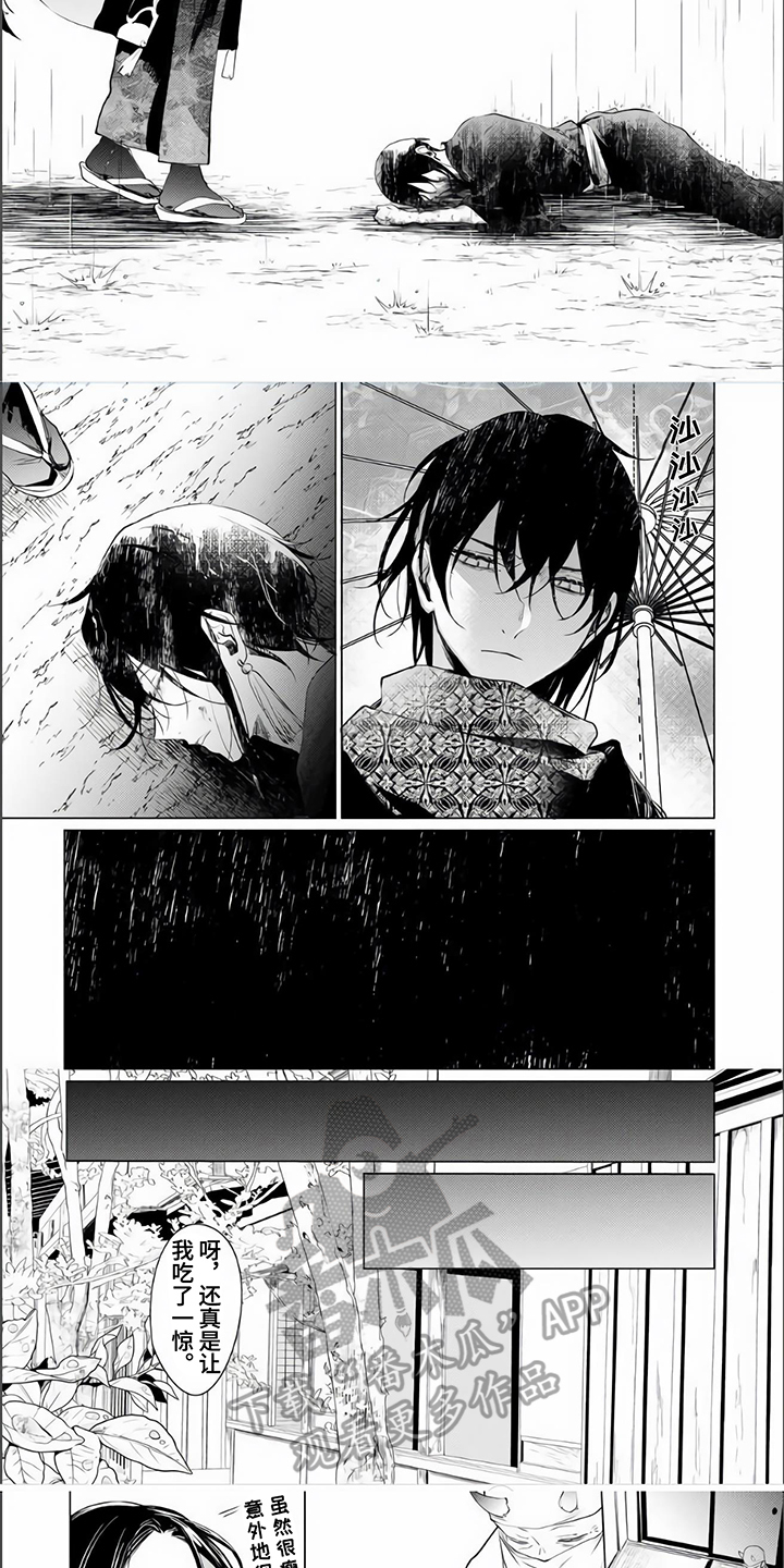 《神鹰的生活》第7章救回 第5页