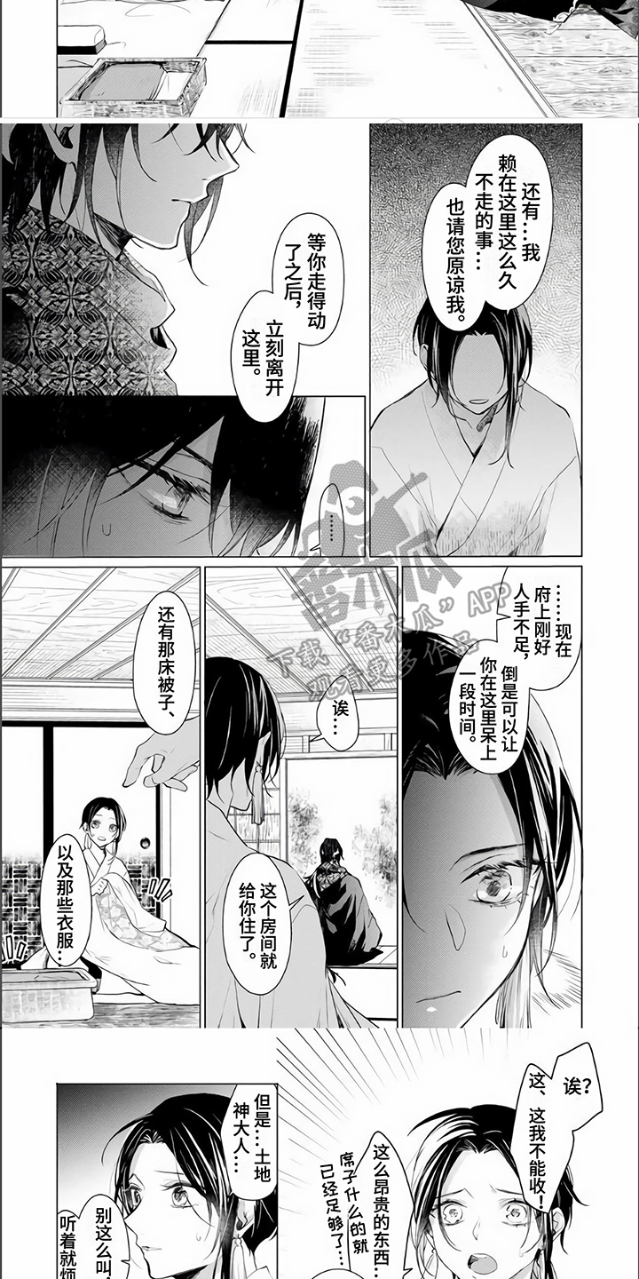 《神鹰的生活》第8章理解 第2页