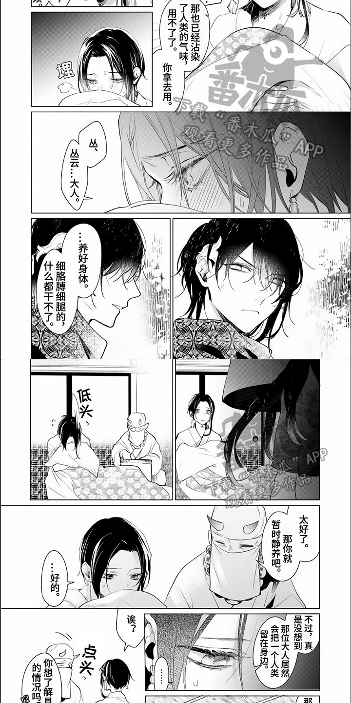 《神鹰的生活》第8章理解 第3页