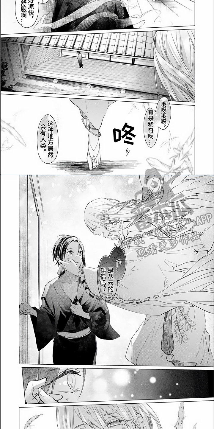 《神鹰的生活》第10章阻止 第3页