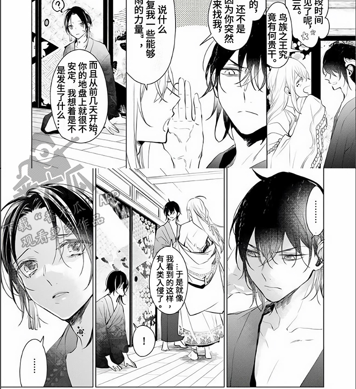 《神鹰的生活》第10章阻止 第6页