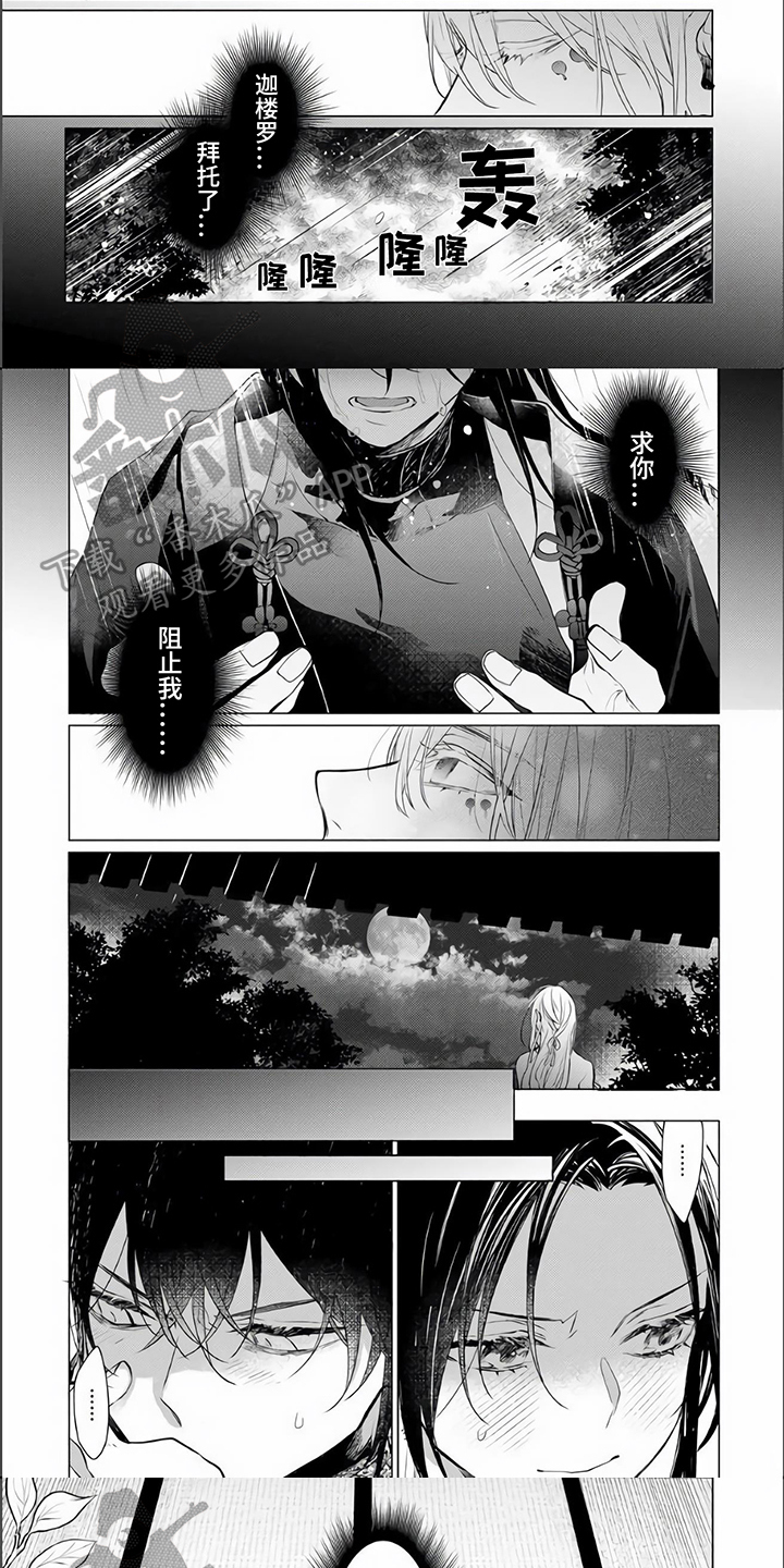 《神鹰的生活》第13章中计 第1页