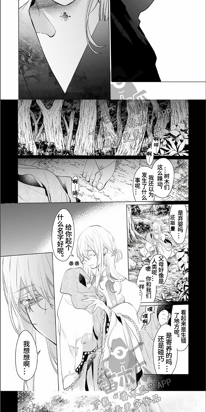 《神鹰的生活》第14章赶走 第5页