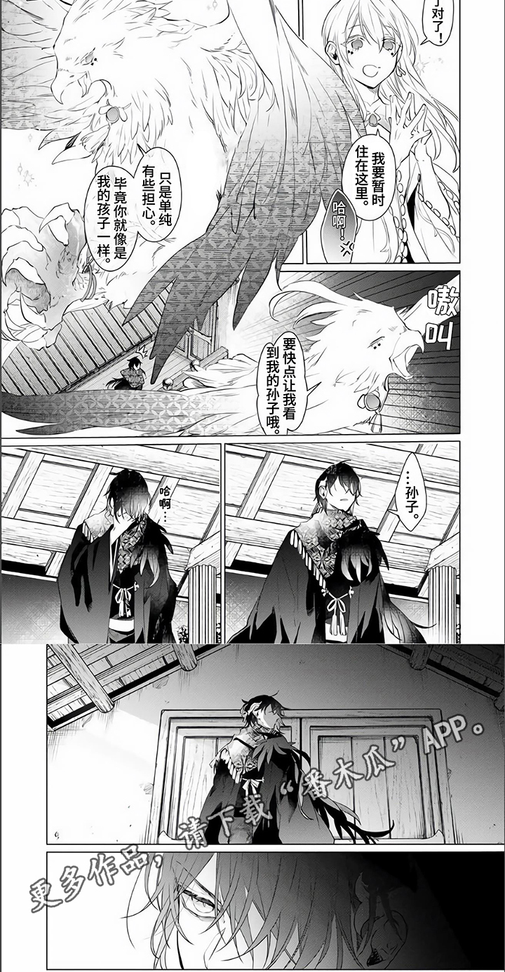 《神鹰的生活》第11章担心 第5页